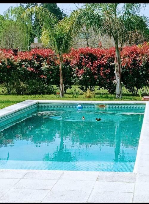 Casa Quinta Relax TOTAL