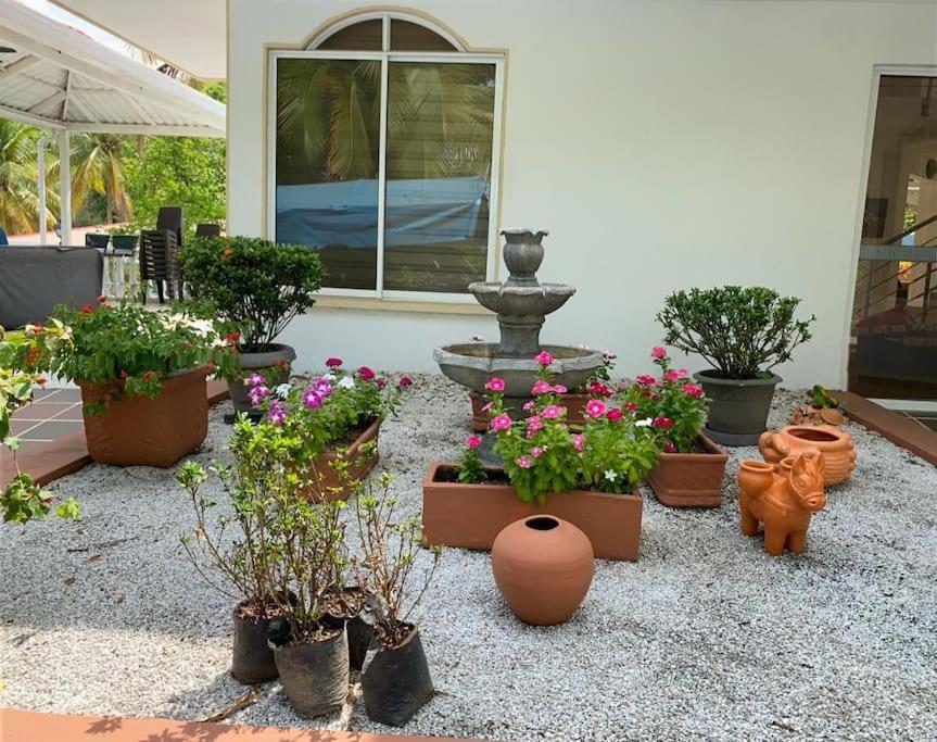 Villa Javier C6