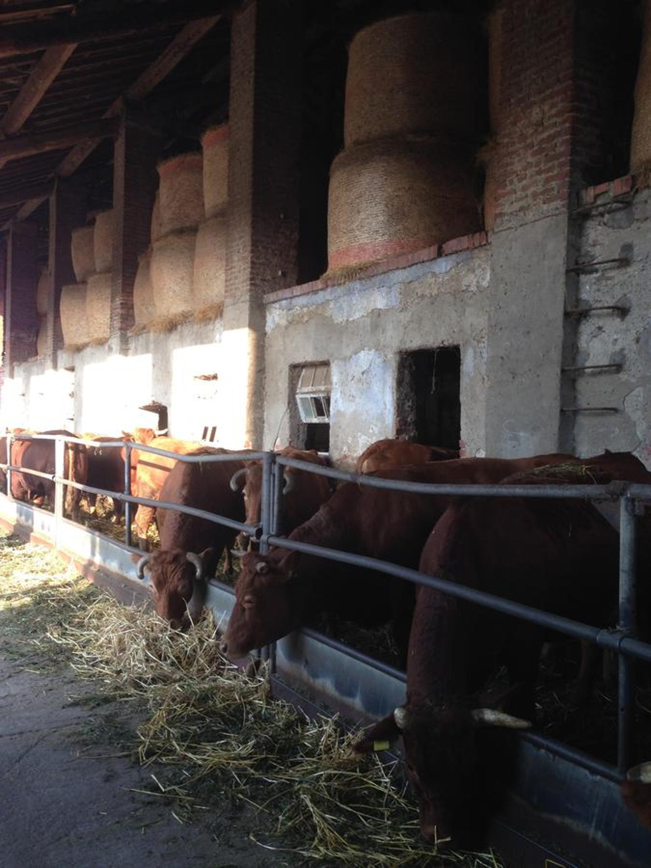 Cascina Battivacco