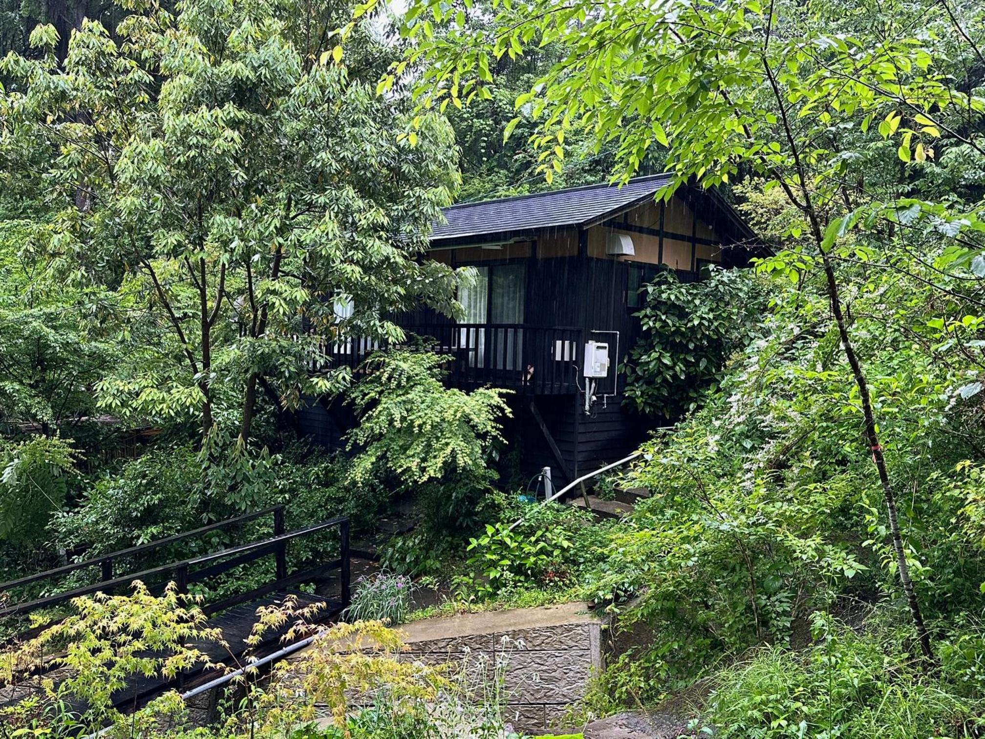 nanakoya
