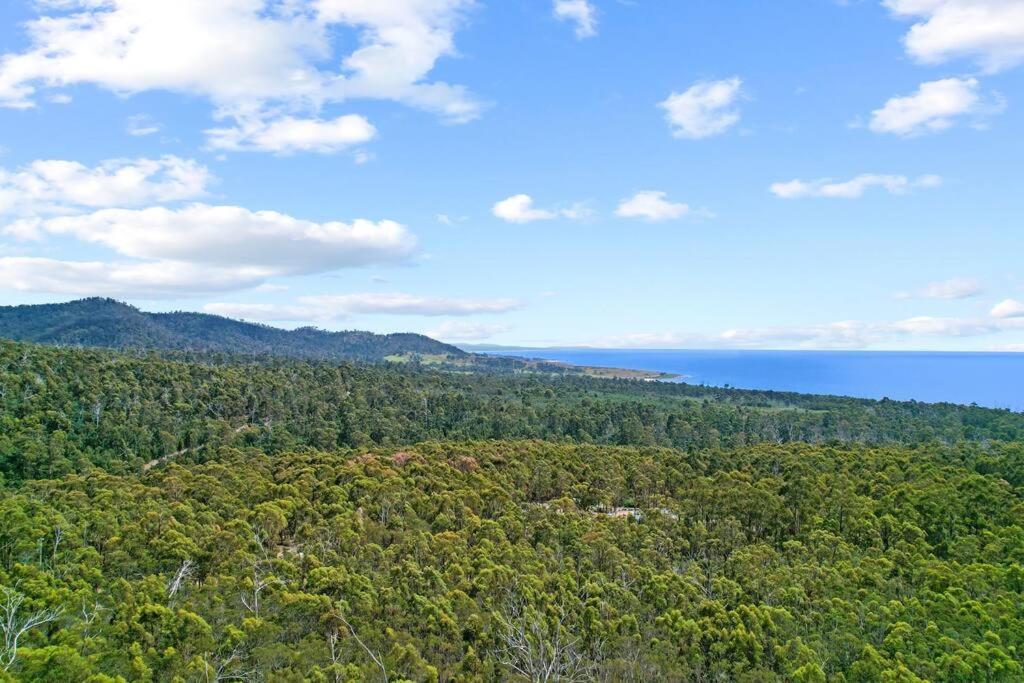 Black Wattle Coastal Retreat