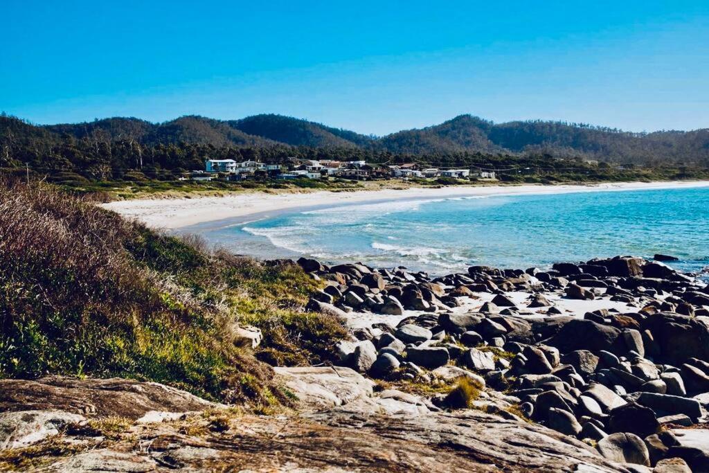 Black Wattle Coastal Retreat