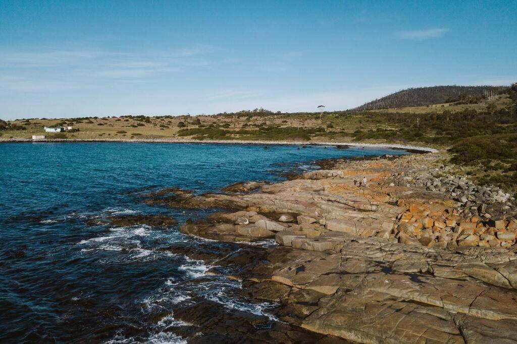 Black Wattle Coastal Retreat