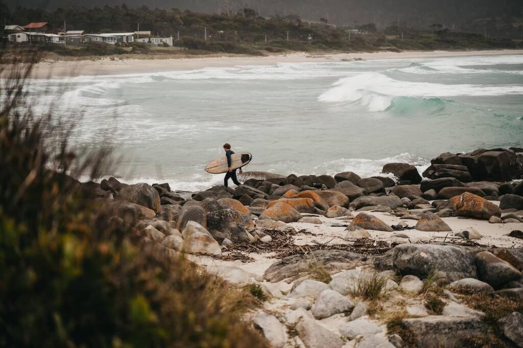 Black Wattle Coastal Retreat