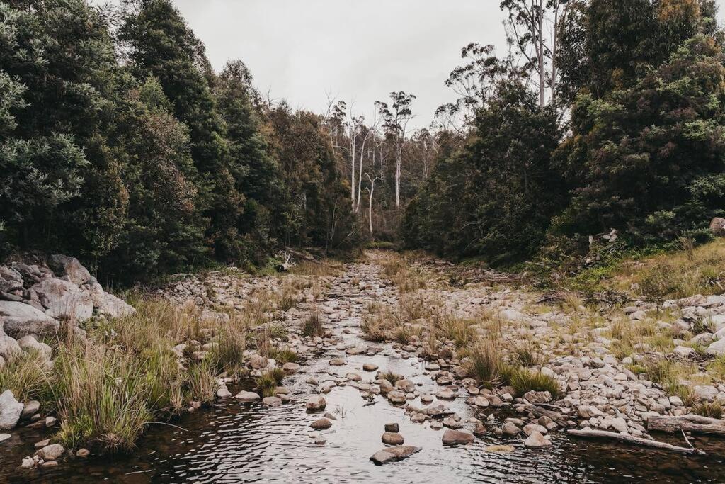 Black Wattle Coastal Retreat