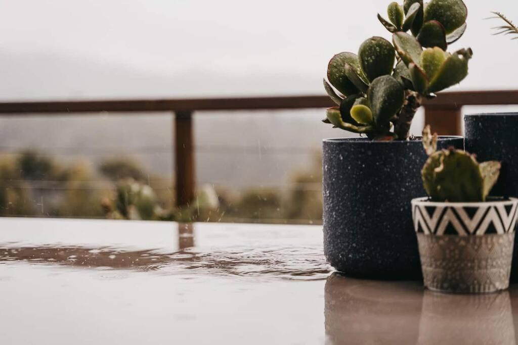 Black Wattle Coastal Retreat