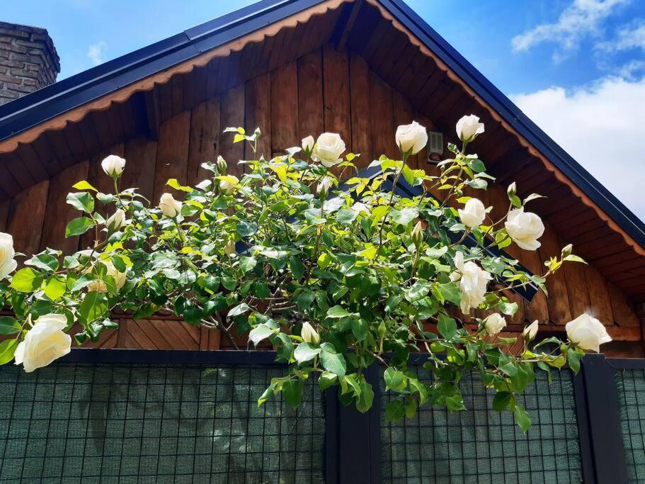 La Casa del Viejo Manzano