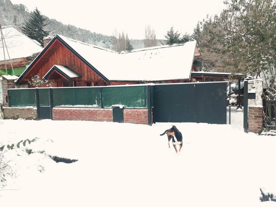 La Casa del Viejo Manzano