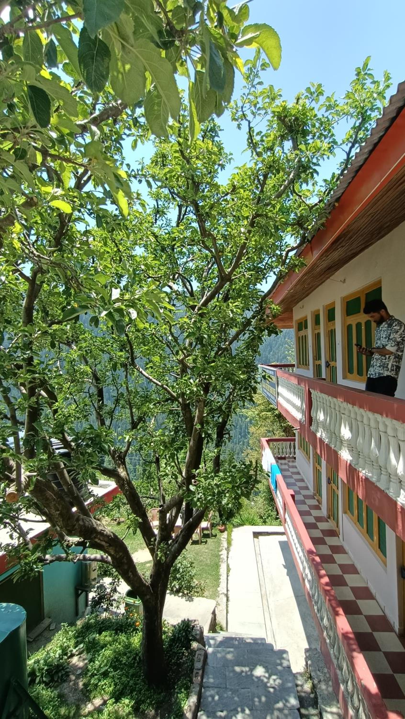 Sojhaholidayinn