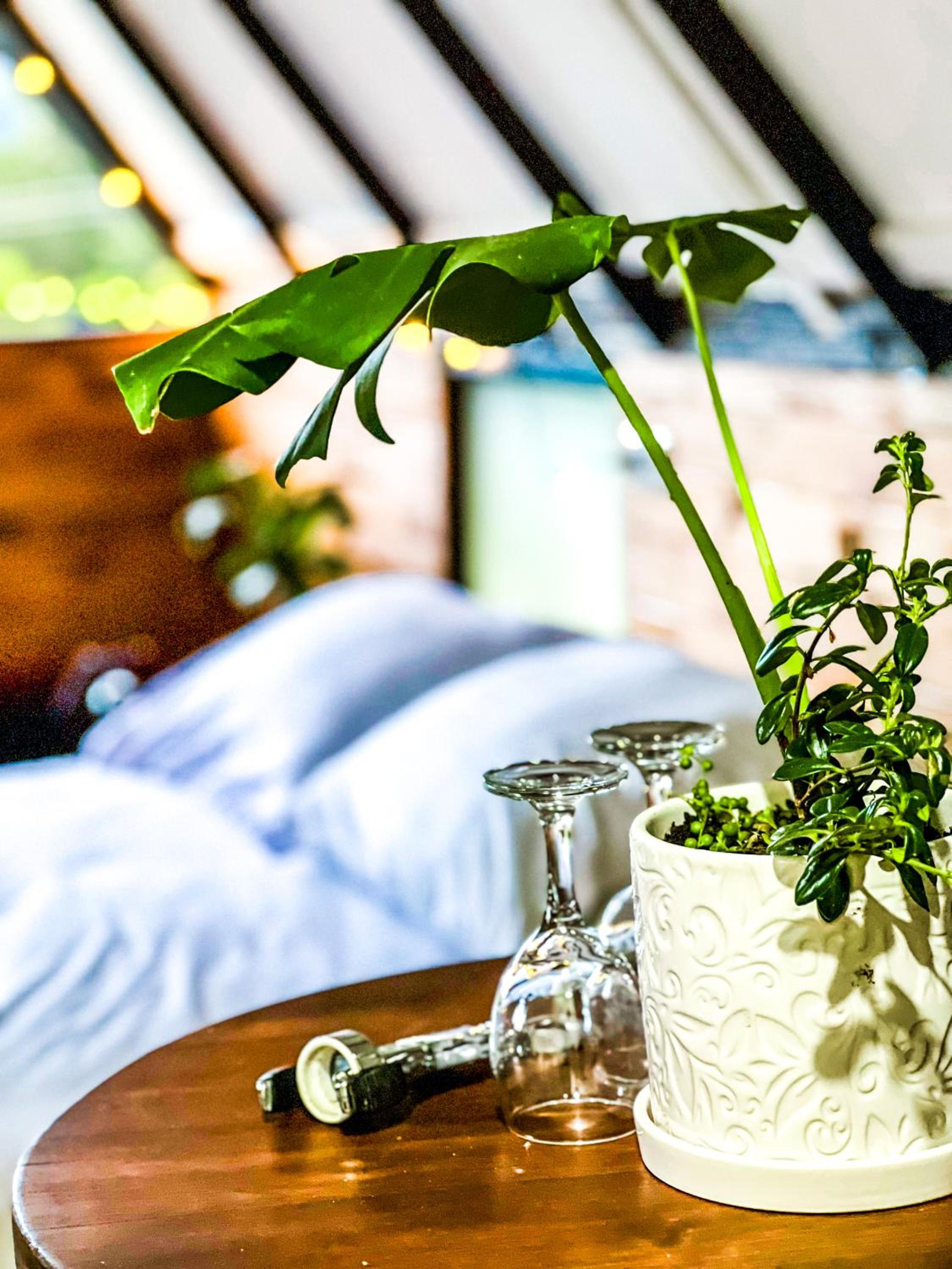 Glamping Chalet Deluxe cerca al centro de Villa de Leyva - By Serena Morena