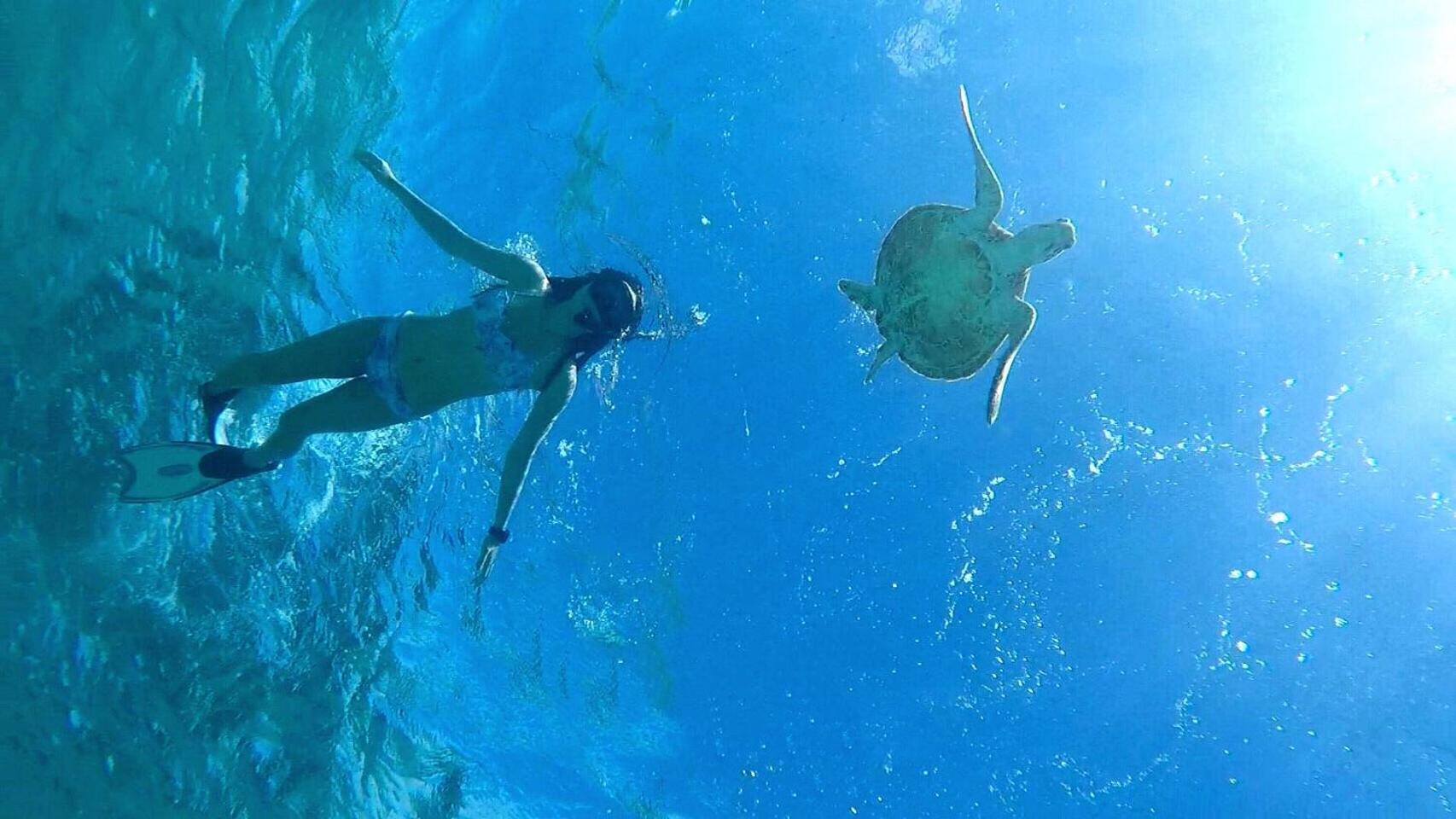 Hanahana Miyakojima