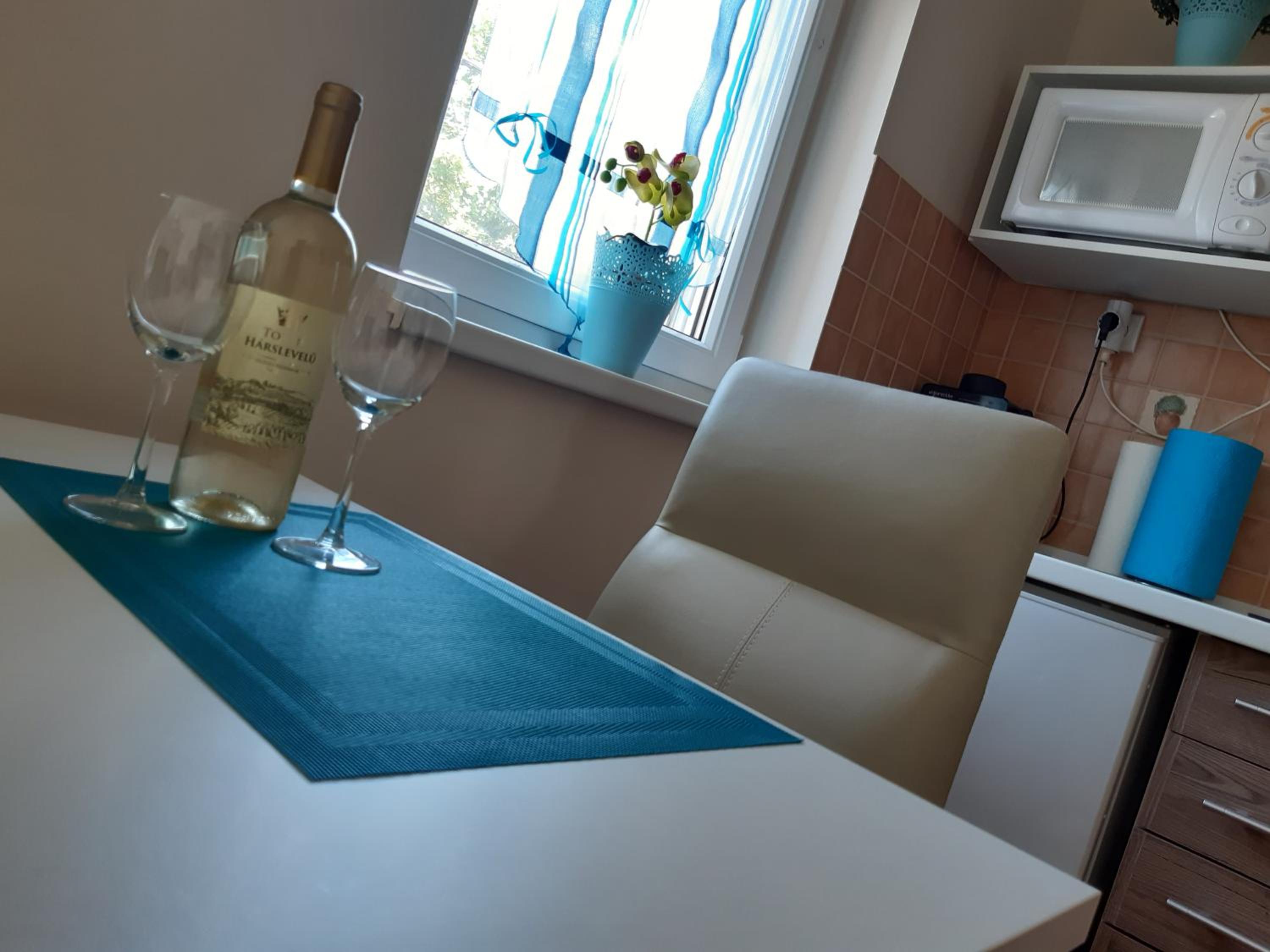 Manna Kölcsey Apartment view 3