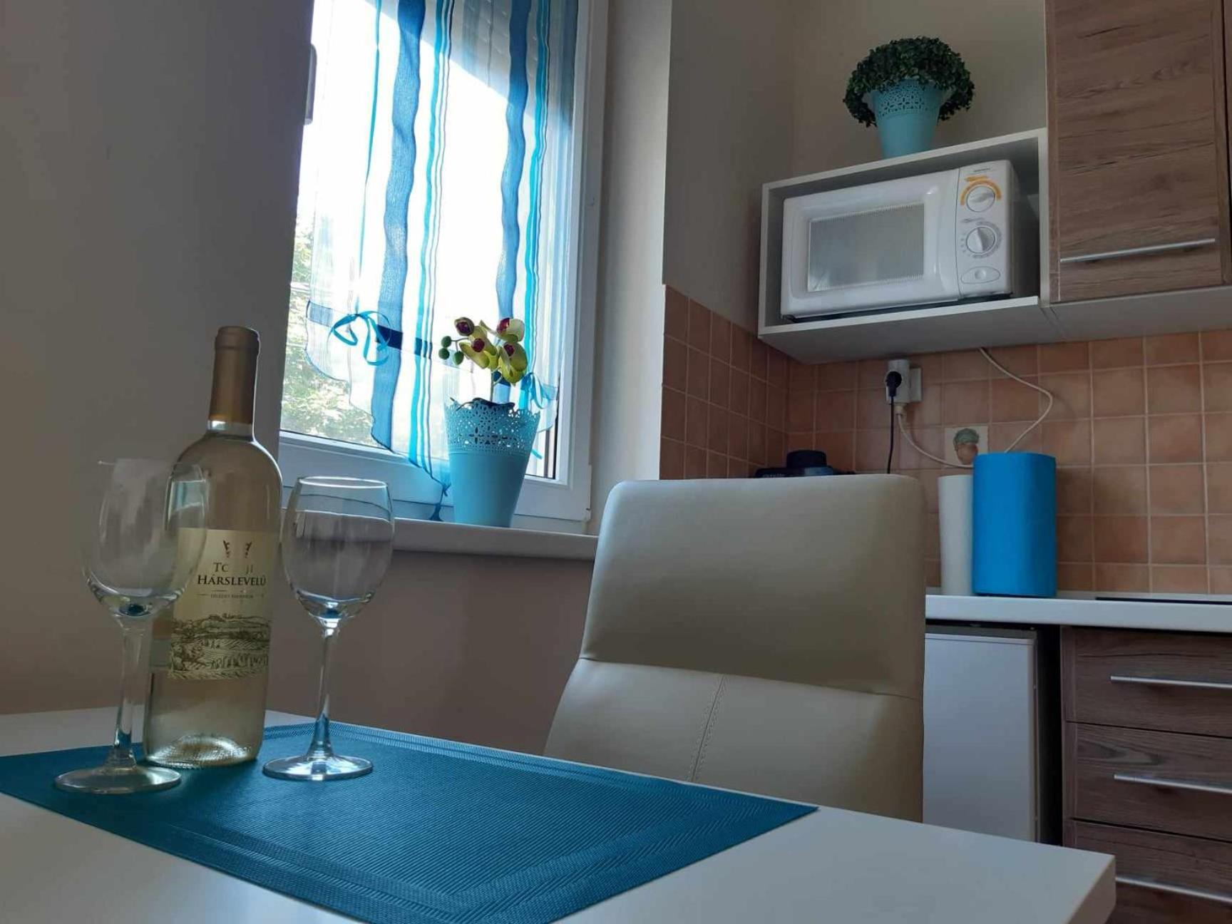 Manna Kölcsey Apartment view 2
