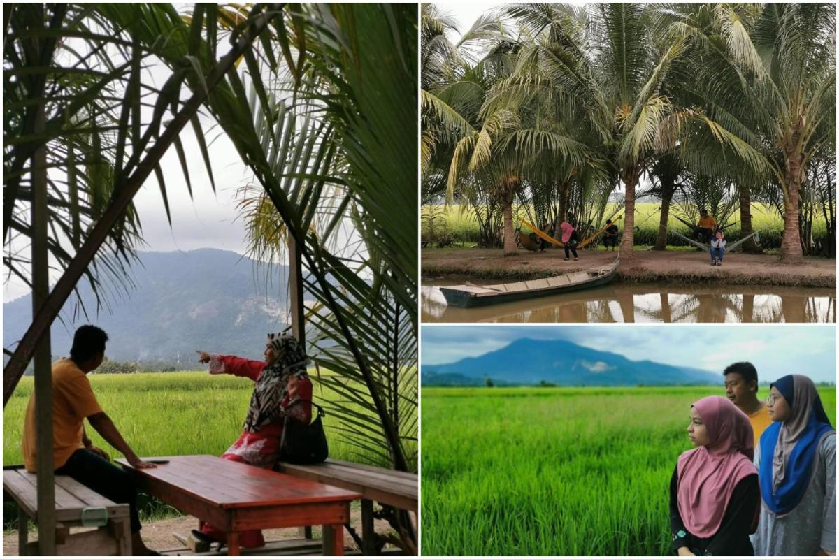 Homestay Wilayah