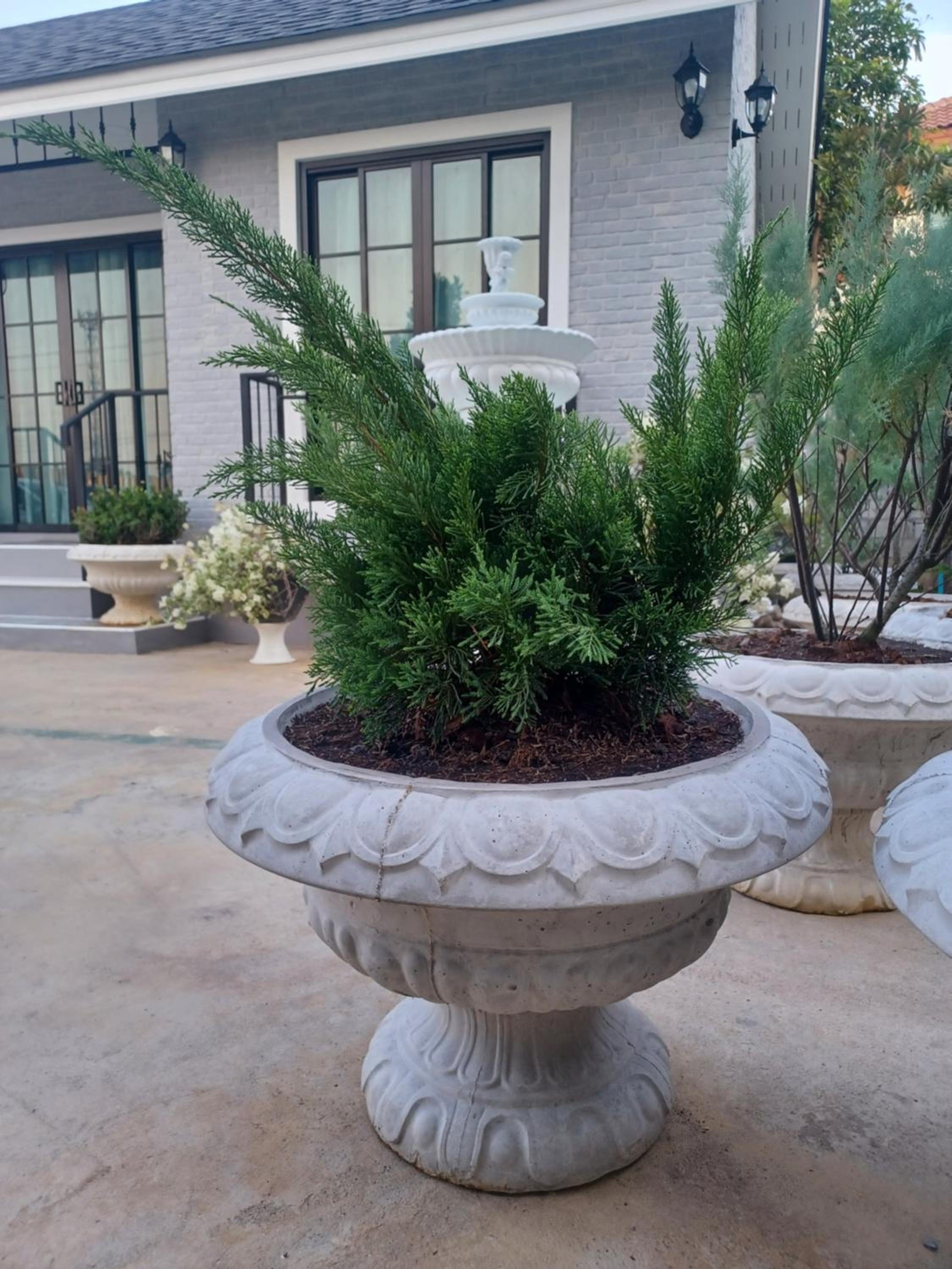 Zoom Garden Home view 2
