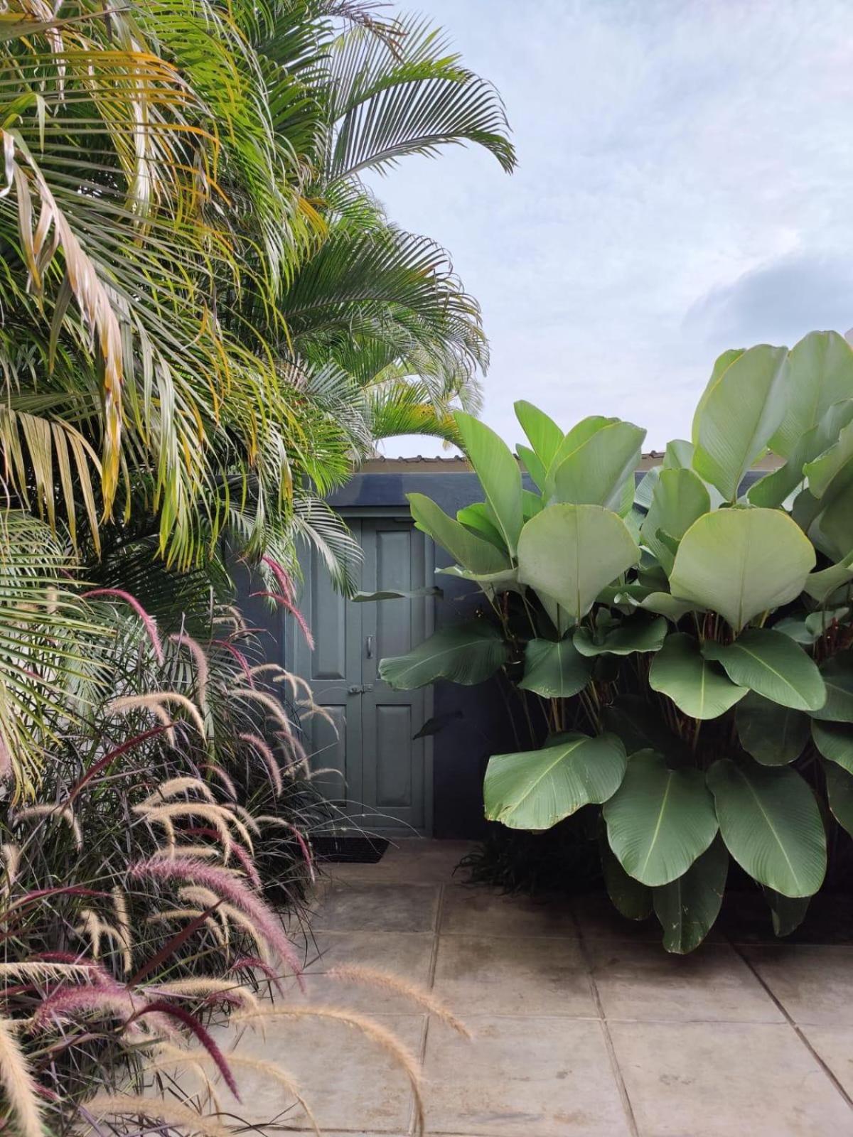 Tropicopia view 2