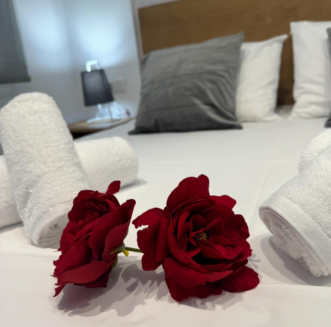 Zoe Seafront Aprt photo 4