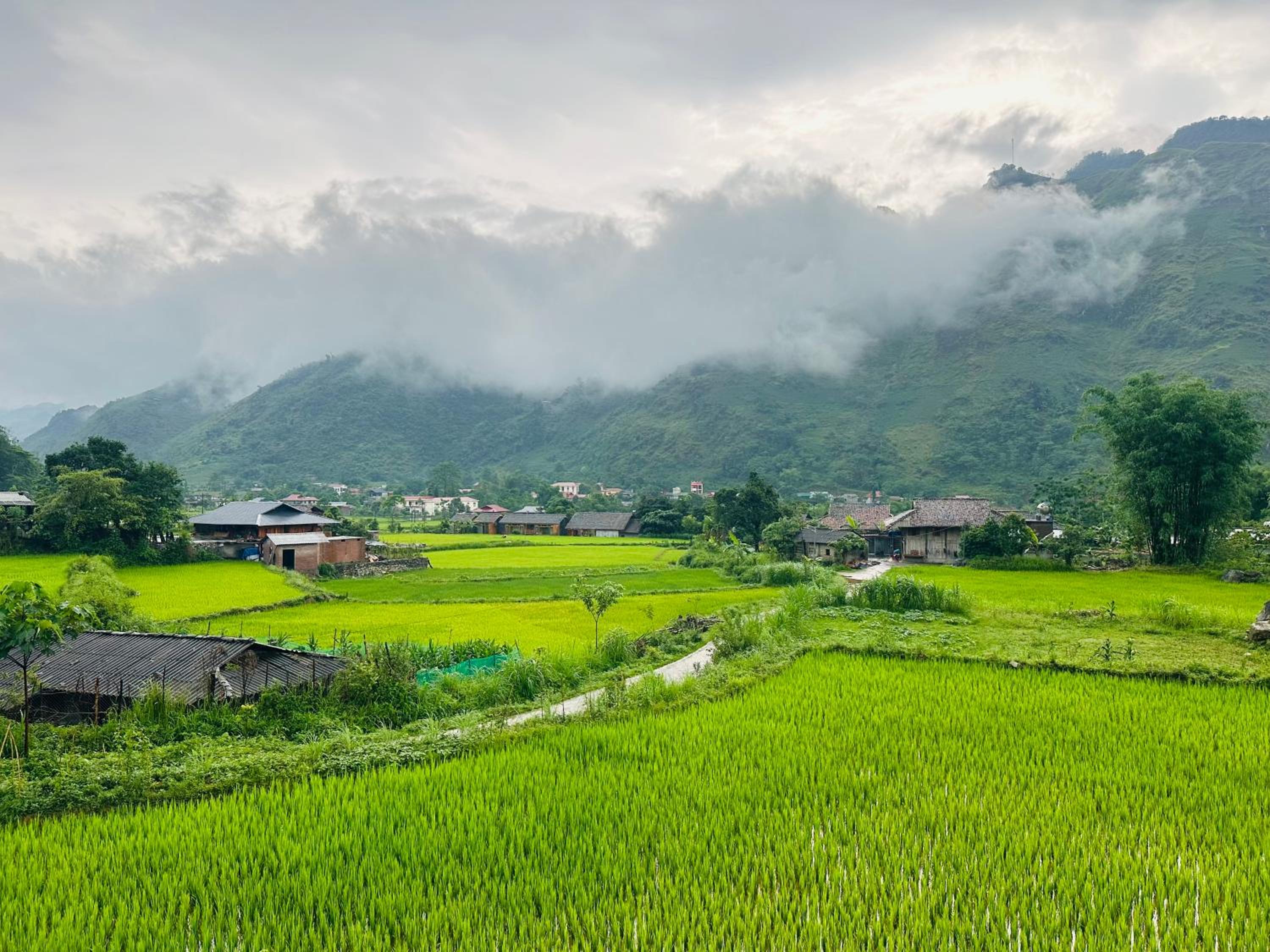 Du Gia Field View Homestay