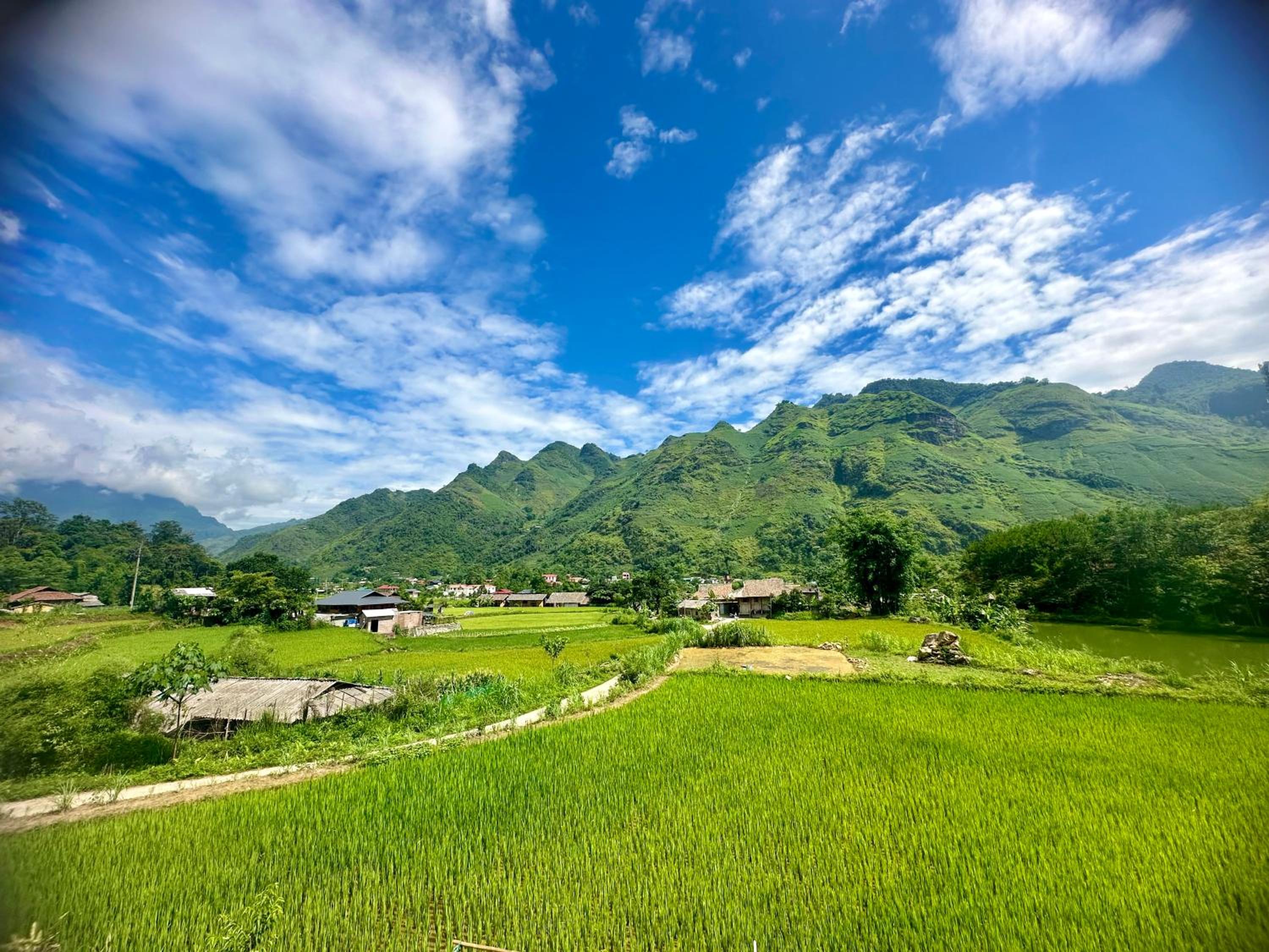 Du Gia Field View Homestay