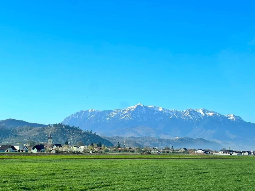 NEUSTADT Villa view 2