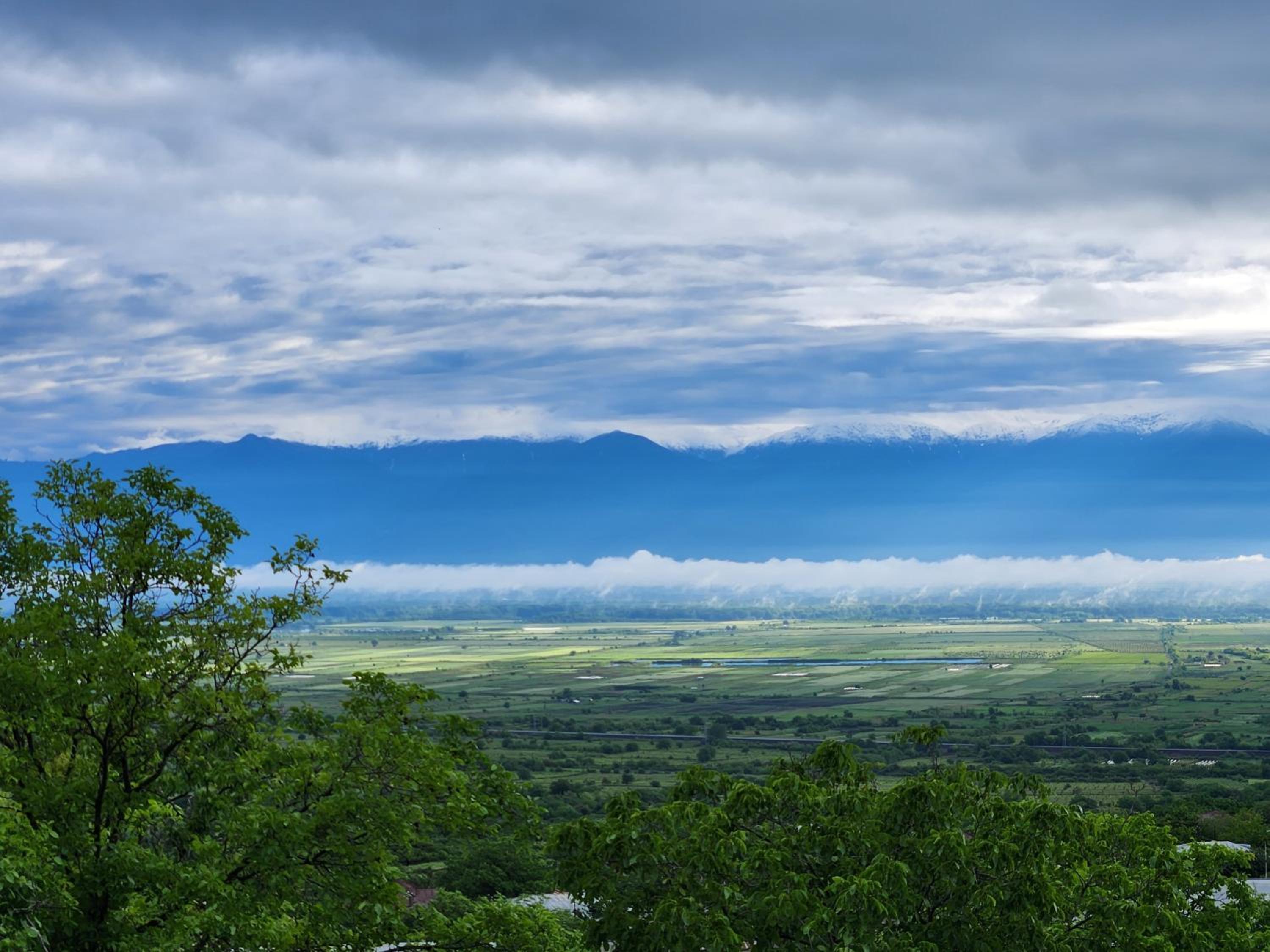 Kardanakhi Estate