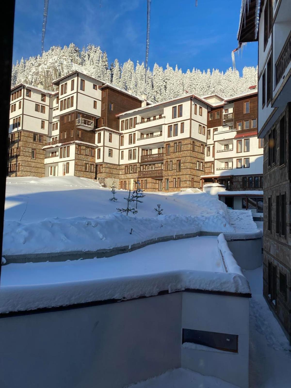 Pamporovo mountain apartment