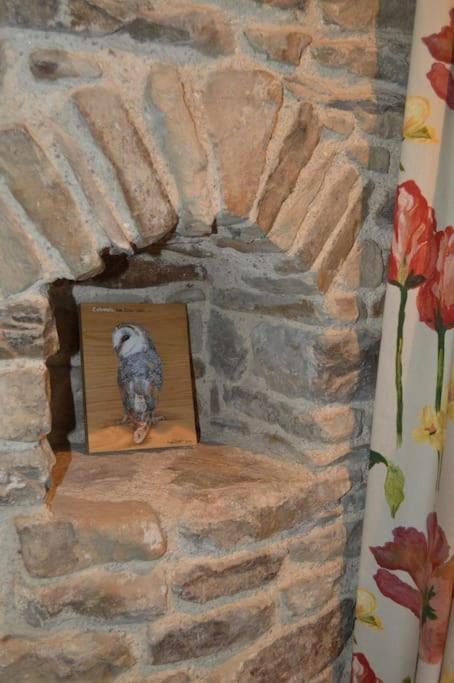 Photo 26
