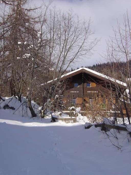 Chalet Abesiz