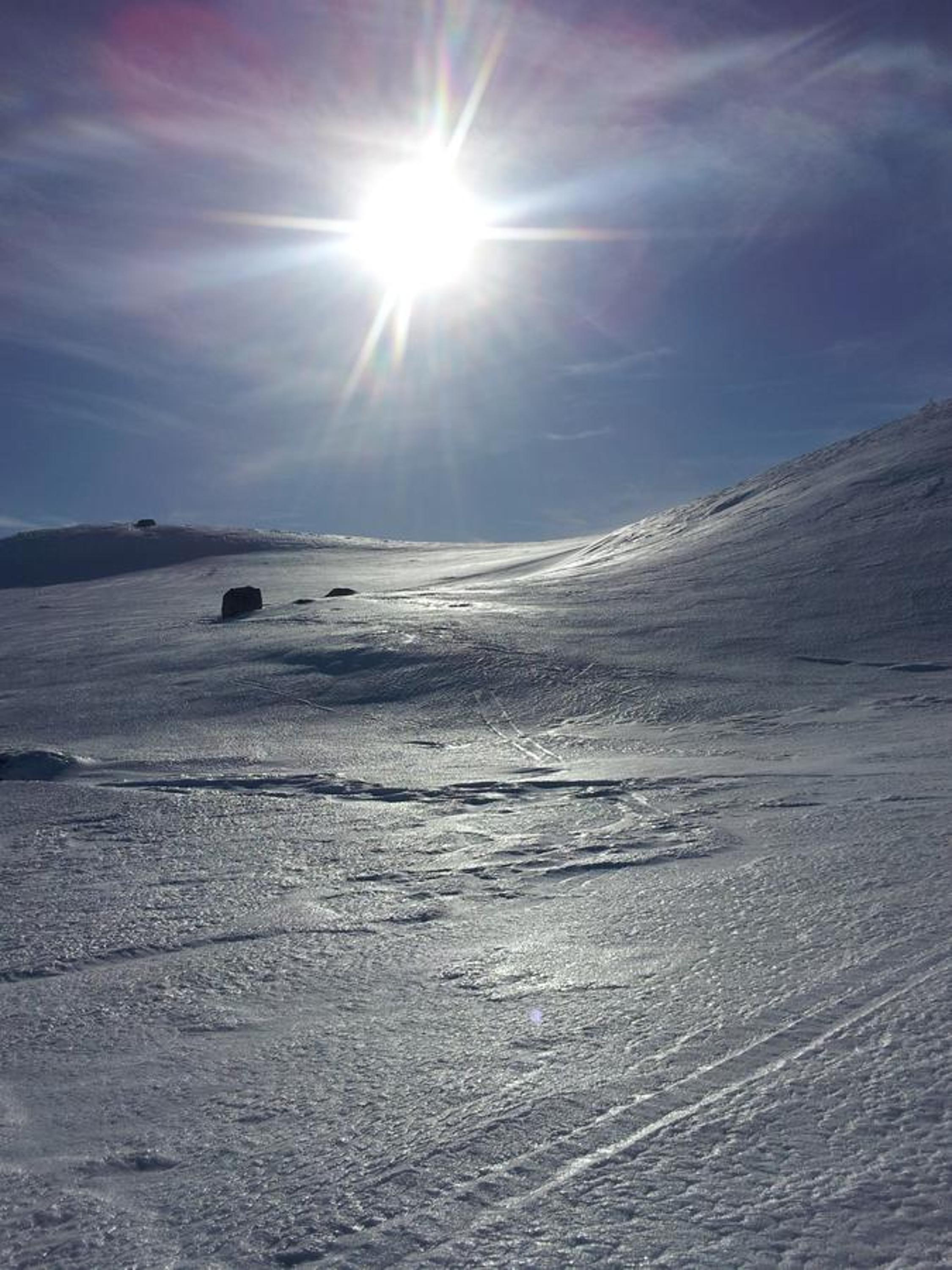 Photo 31