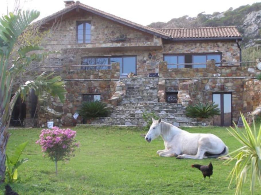 Tarifa Apartement Horses and Nature