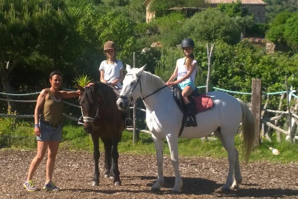 Tarifa Apartement Horses and Nature