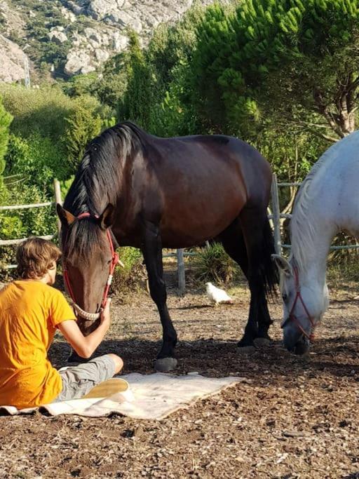 Tarifa Apartement Horses and Nature