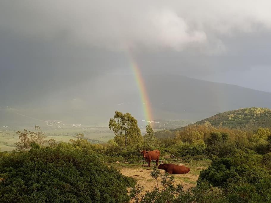Tarifa Apartement Horses and Nature