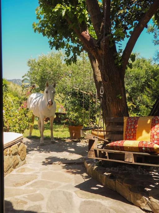 Tarifa Apartement Horses and Nature
