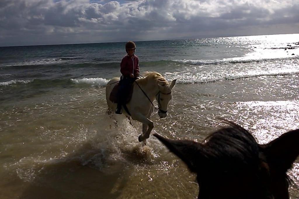 Tarifa Apartement Horses and Nature