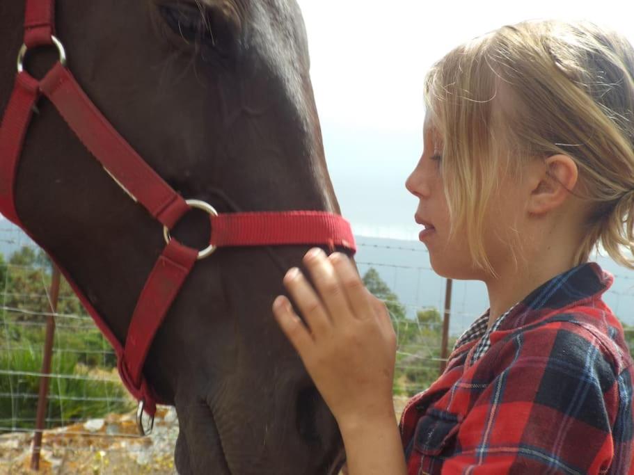 Tarifa Apartement Horses and Nature