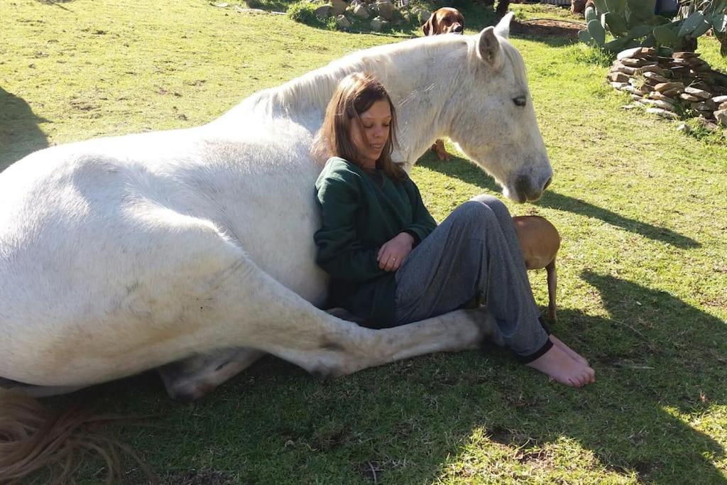 Tarifa Apartement Horses and Nature