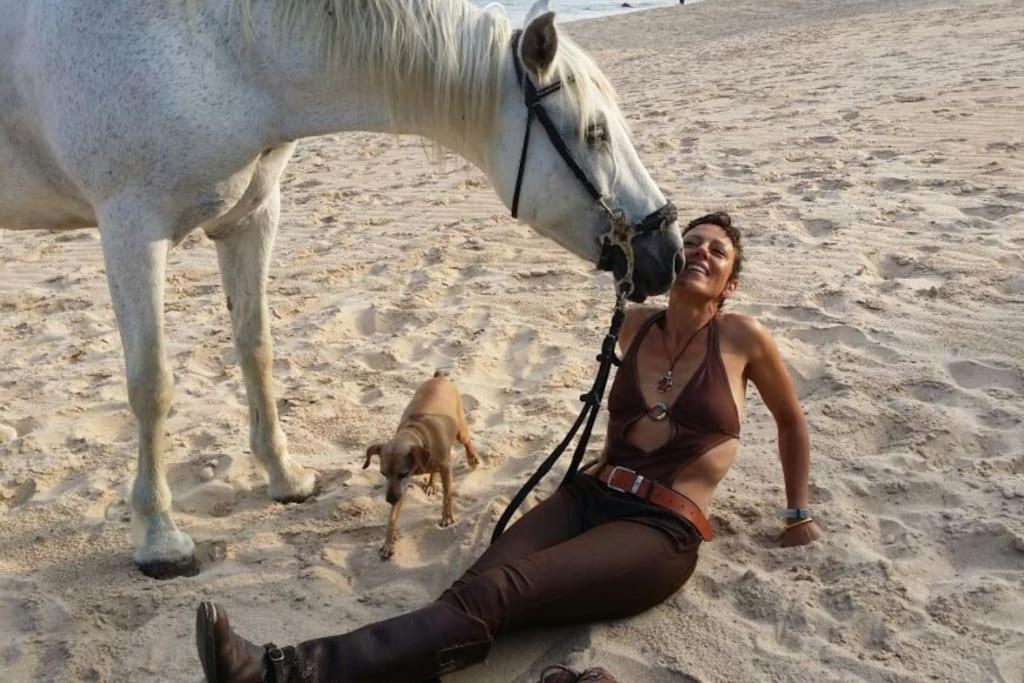 Tarifa Apartement Horses and Nature