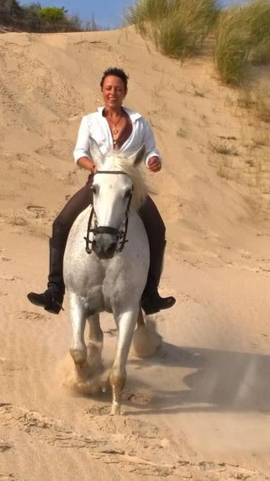 Tarifa Apartement Horses and Nature