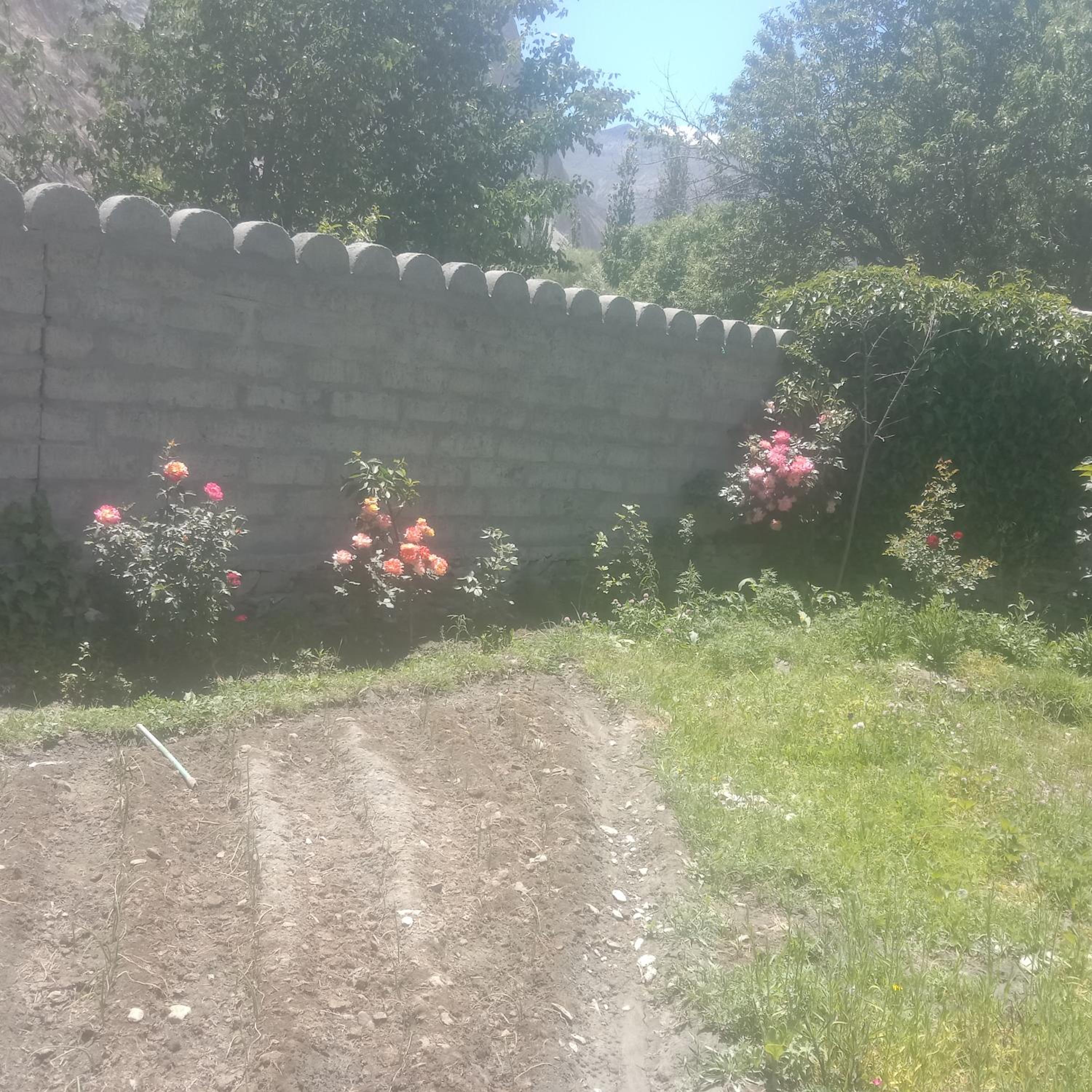 Photo 4