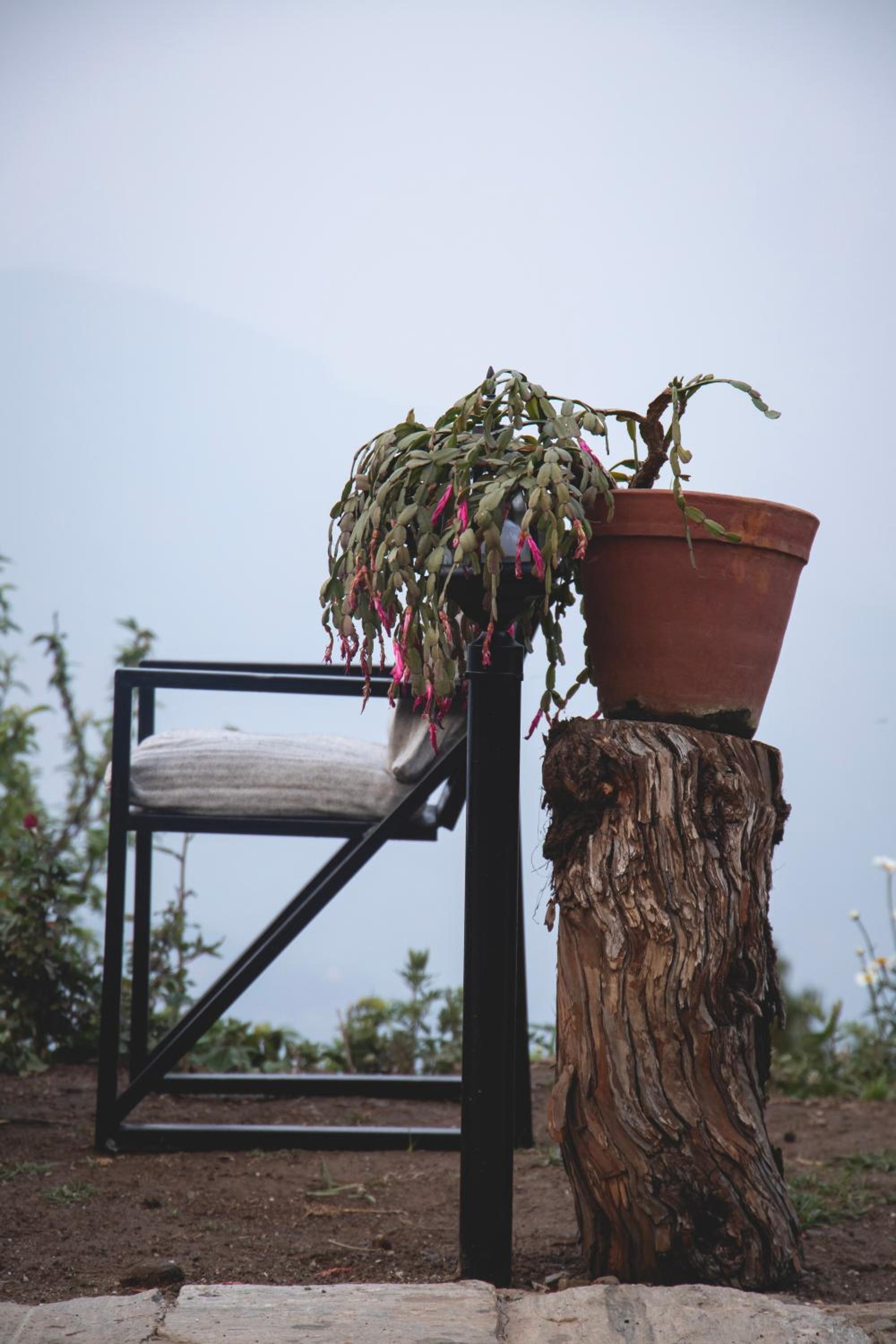 Les Terrasses Himalayan Resort