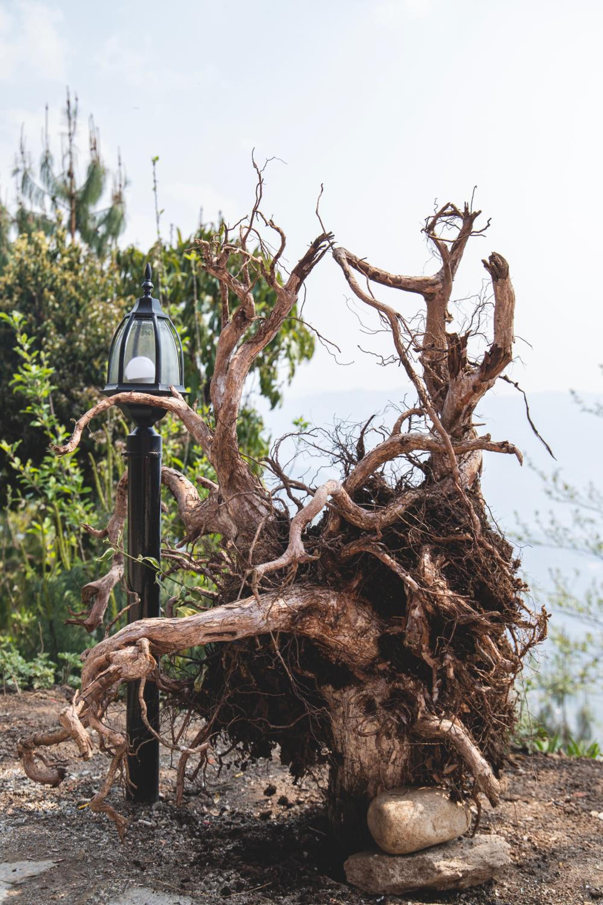 Les Terrasses Himalayan Resort