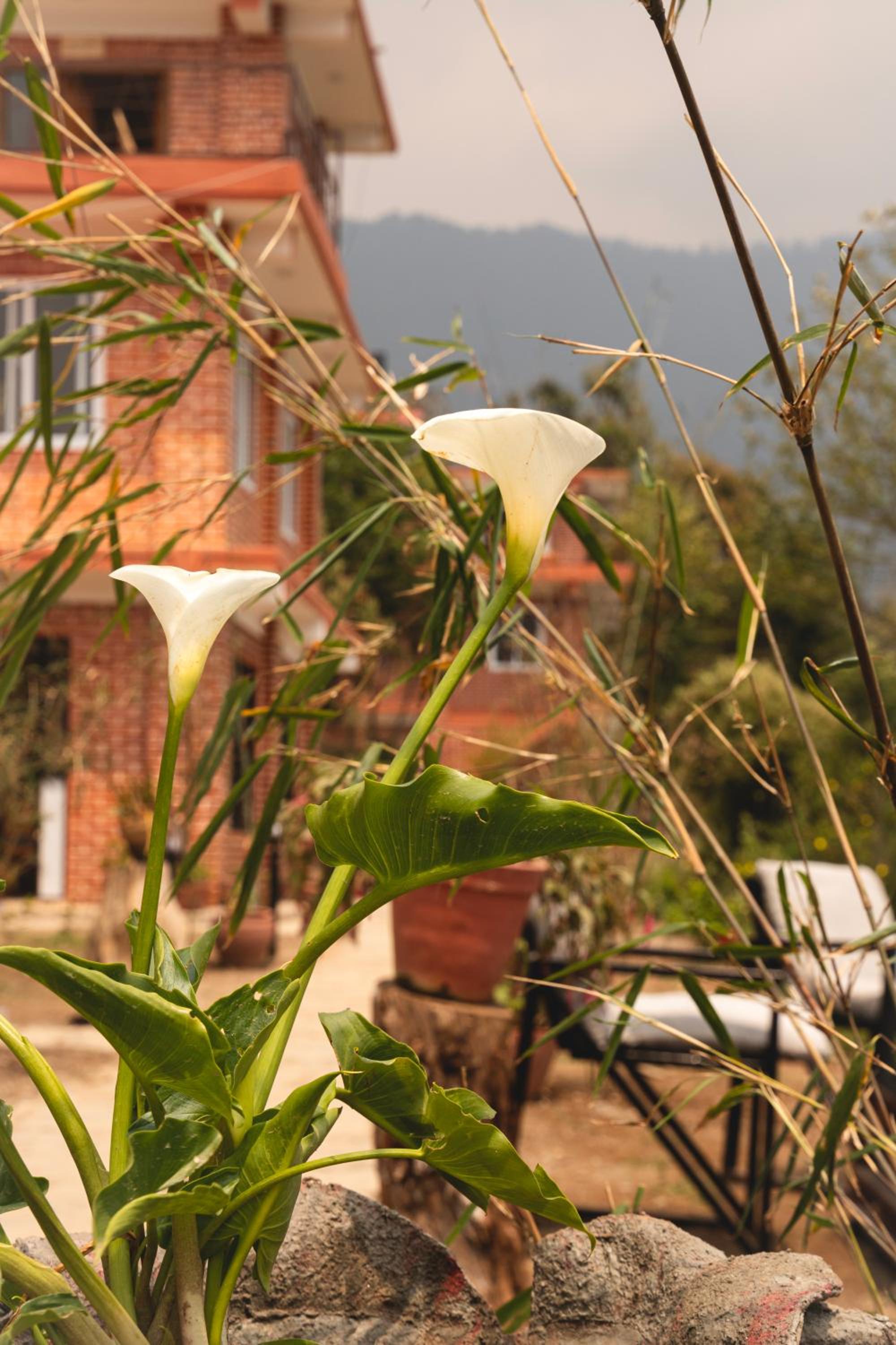 Les Terrasses Himalayan Resort