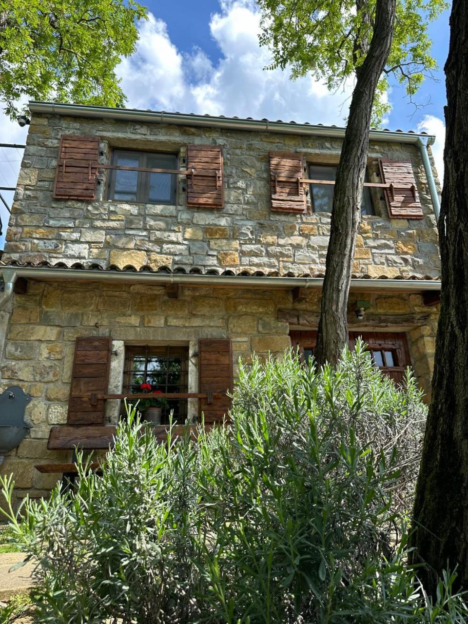 Photo 27