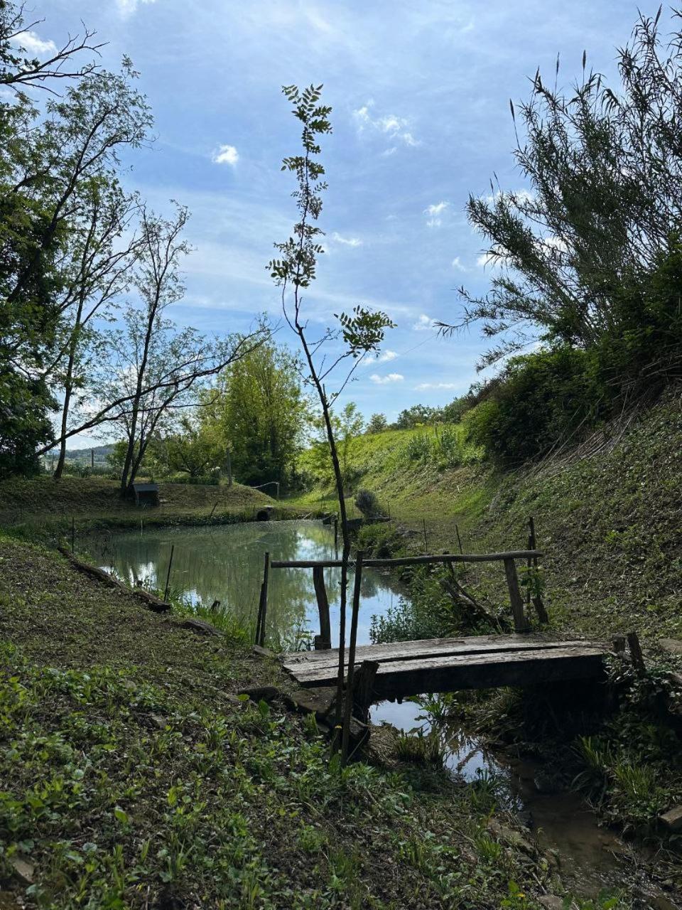 Photo 31