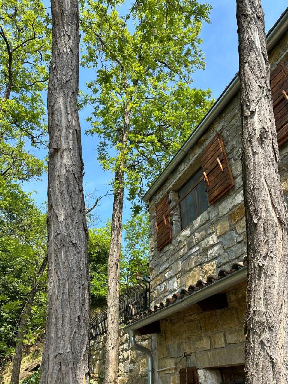 Photo 30