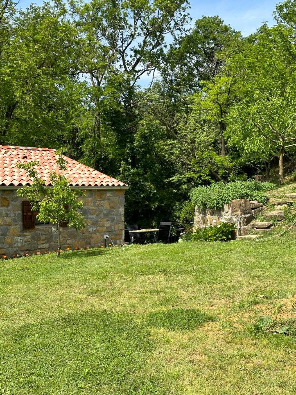 Photo 43