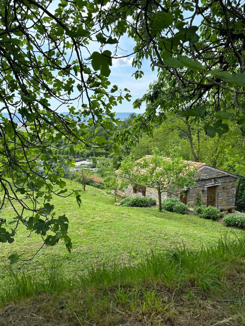 Photo 42