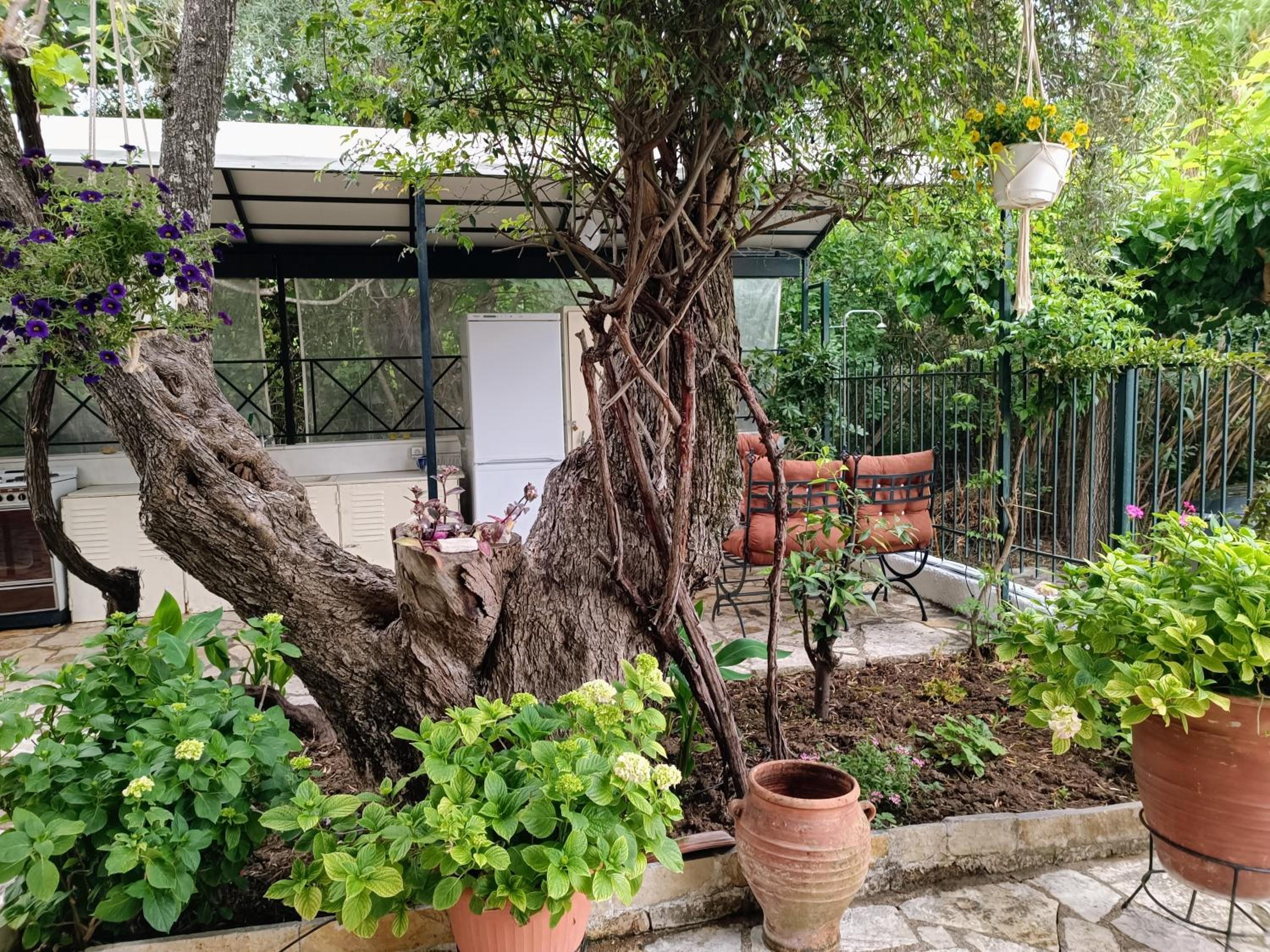 Casa Trizoni Nikiana photo 4