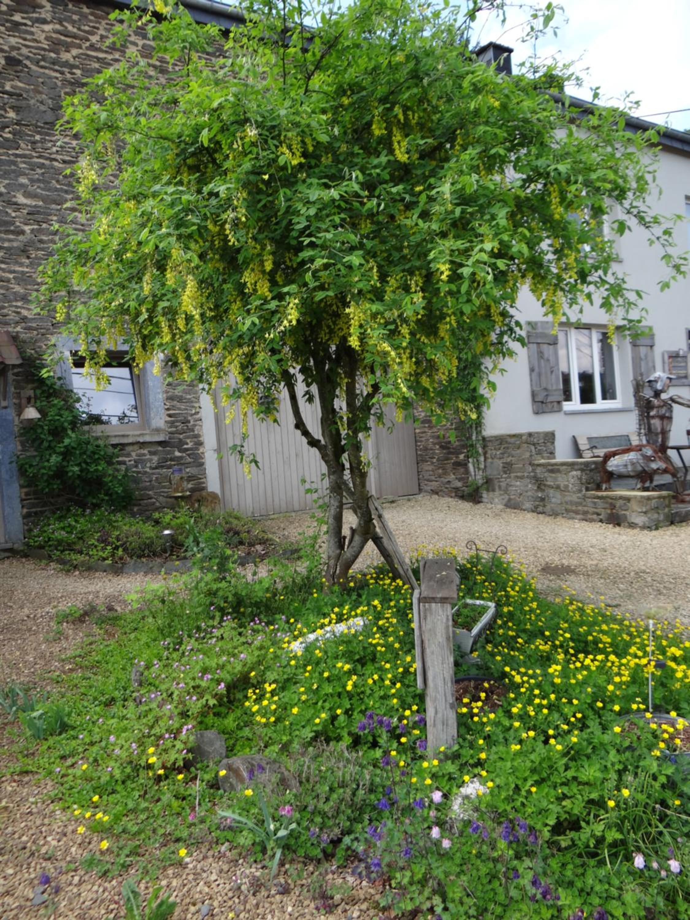B&B Le bruissement